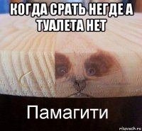 когда срать негде а туалета нет 