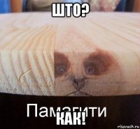 што? как!