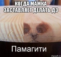 когда мамка заставляет делать дз 