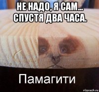 не надо, я сам... спустя два часа. 