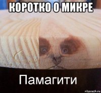 коротко о микре 