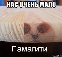 нас очень мало 