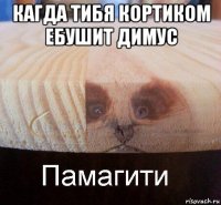 кагда тибя кортиком ебушит димус 