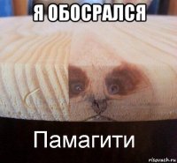 я обосрался 