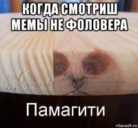 когда смотриш мемы не фоловера 