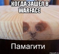 когда зашел в warface 