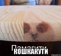  кошкакути