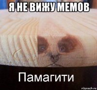 я не вижу мемов 