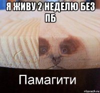 я живу 2 неделю без пб 