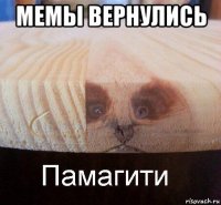 мемы вернулись 