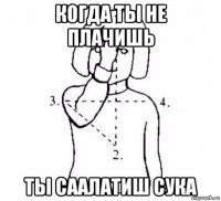 когда ты не плачишь ты саалатиш сука