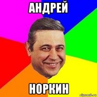 андрей норкин