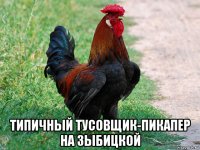  типичный тусовщик-пикапер на зыбицкой