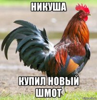 никуша купил новый шмот