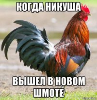 когда никуша вышел в новом шмоте