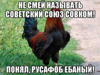 не смей называть советский союз совком! понял, русафоб ебаный!