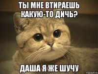 ты мне втираешь какую-то дичь? даша я же шучу