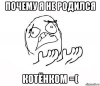 почему я не родился котёнком =(