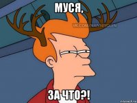 муся, за что?!