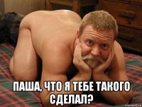  паша, что я тебе такого сделал?