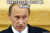 what you said about ma mama? 