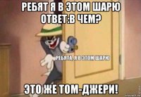 ребят я в этом шарю ответ:в чем? это же том-джери!