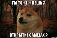 ты тоже ждешь ? открытие gamelax ?