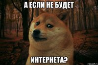 а если не будет интернета?