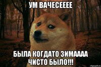 ум вачесееее была когдато зимаааа чисто было!!!