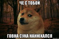 че с тобой говна сука нанюхался