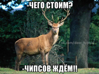 -чего стоим? -чипсов ждём!!