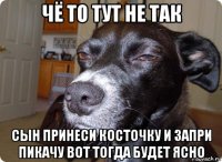 чё то тут не так сын принеси косточку и запри пикачу вот тогда будет ясно