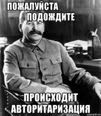 пожалуйста                         подождите происходит авторитаризация