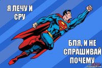 Я лечу и сру Бля, и не спрашивай почему