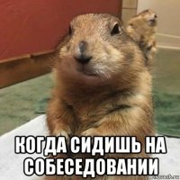  когда сидишь на собеседовании