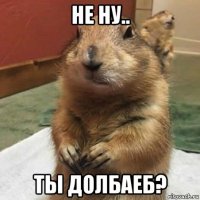 не ну.. ты долбаеб?