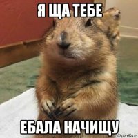 я ща тебе ебала начищу