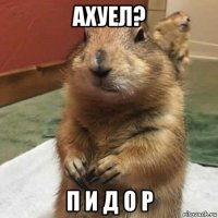 ахуел? п и д о р