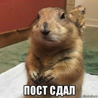  пост сдал