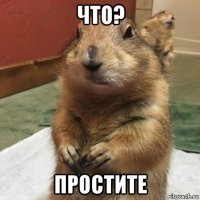 что? простите