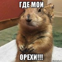 где мои орехи!!!