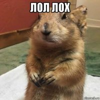 лол лох 