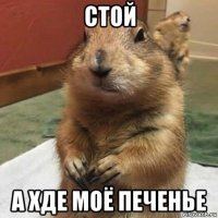 стой а хде моё печенье