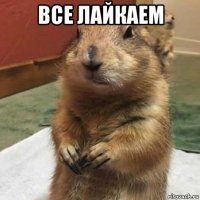 все лайкаем 