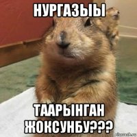 нургазыы таарынган жоксунбу???