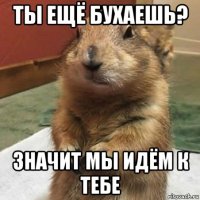 ты ещё бухаешь? значит мы идём к тебе