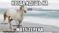 когда идешь на матч терека