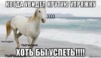 когда увидел крутую упряжку хоть бы успеть!!!!