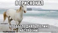 я прискокал что бы поднять полине настроение