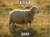 а тебя ????